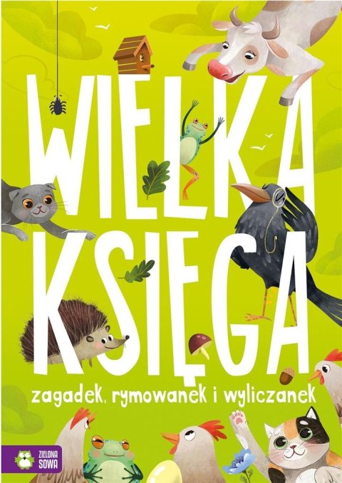 Wielka księga zagadek, rymowanek i wyliczanek