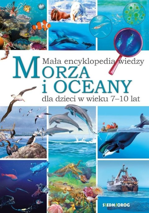 Mała encyklopedia wiedzy. Morza i oceany