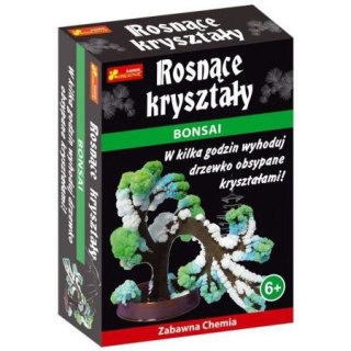 Rosnące kryształy RANOK Bonsai