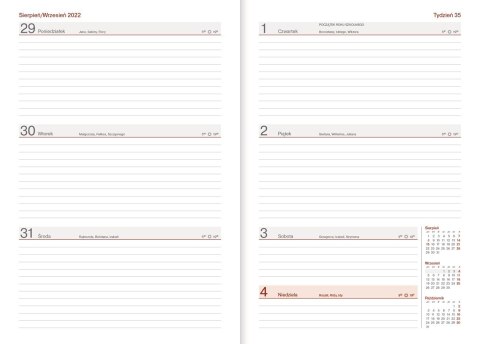 Kalendarz nauczyciela WN B5 tygodniowy Vivella - BRĄZ