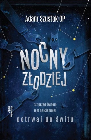 Nocny złodziej BR