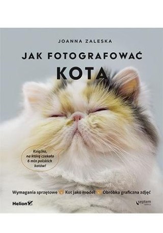 Jak fotografować kota