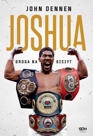 Joshua. Droga na szczyt w.2