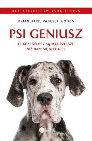 Psi geniusz w.3