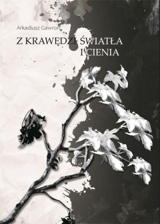 Z krawędzi światła i cienia