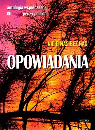 Opowiadania. Nic o nas bez nas