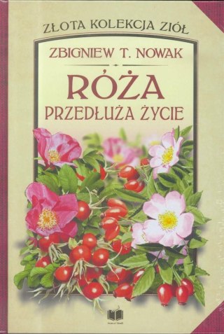 Róża. Przedłuża życie