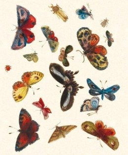 Karnet z kopertą Butterfly design decorati