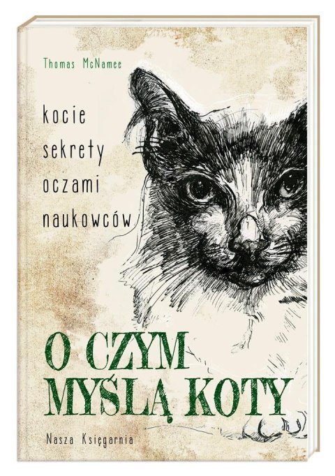 O czym myślą koty. Kocie sekrety oczami naukowców