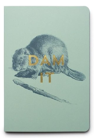 Zestaw Sticky Notes - Dam It Beaver