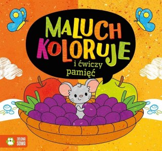 Maluch koloruje i ćwiczy pamięć