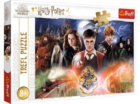 Puzzle 300 TREFL Tajemniczy Harry Potter / Warner