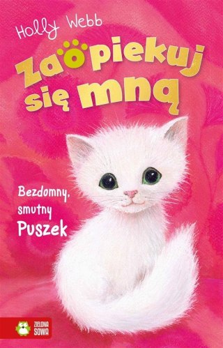 Zaopiekuj się mną. Bezdomny, smutny Puszek