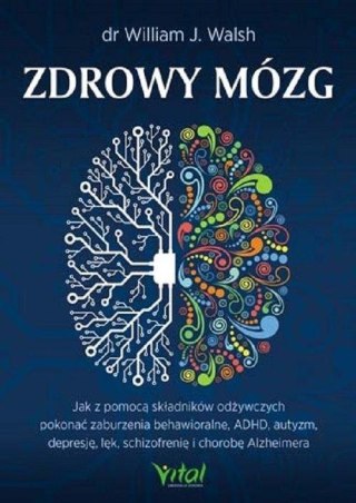 Zdrowy mózg. Jak za pomocą składników odżywczych..