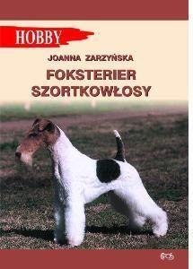 Foksterier szorstkowłosy