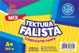 Tektura falista ASTRAPAP A4 mix 10 kol 160g, zestaw