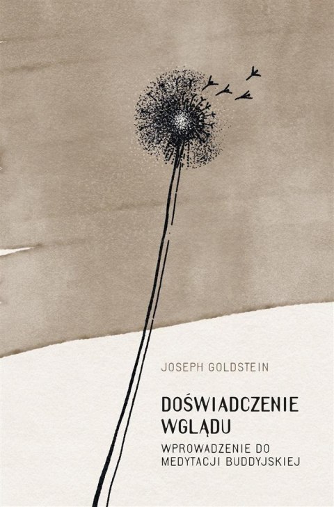 Doświadczenie wglądu