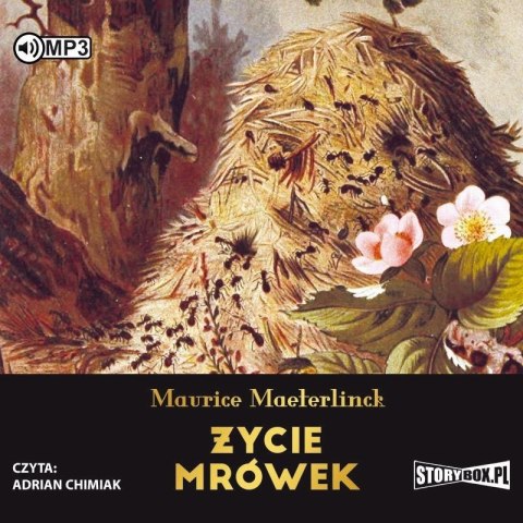 Życie mrówek audiobook