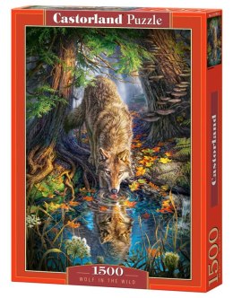 Puzzle 1500 el. Wolf in the Wild