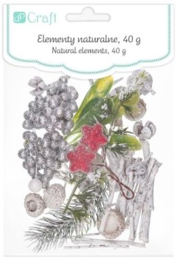 Naturalne elementy DPCRAFT mix 40g bielony