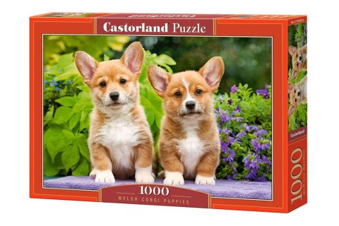 Puzzle 1000 el. Welsh Corgi Puppies