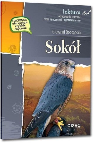 Sokół GREG