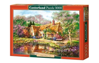 Puzzle 3000 Twilight at Woodgreen Pond CASTOR