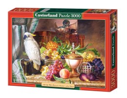 Puzzle 3000 Papuga i owoce CASTOR