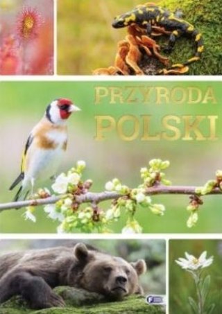 Przyroda Polski