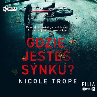 Gdzie jesteś, synku? audiobook