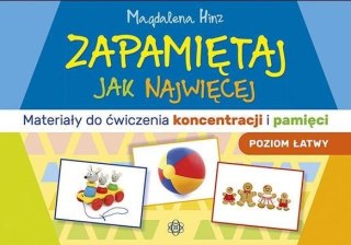 Zapamiętaj jak najwięcej - poziom łatwy