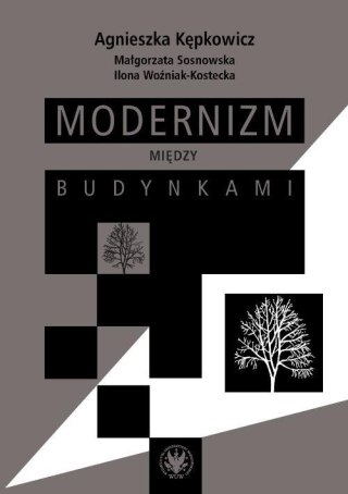 Modernizm między budynkami