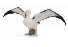 Albatros wędrowny