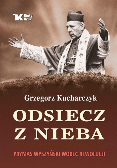 Odsiecz z nieba. Prymas Wyszyński wobec rewolucji