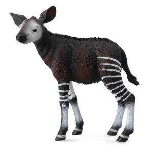 Okapi cielę