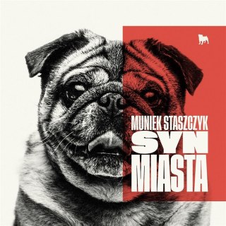 Syn miasta CD