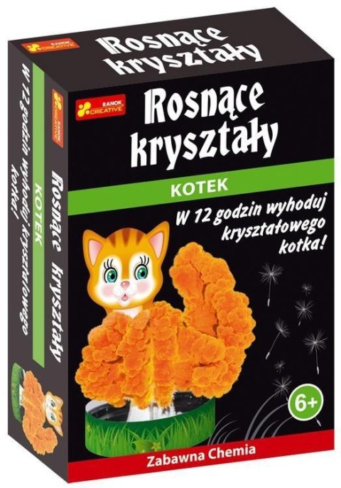 Rosnące kryształy. Kotek