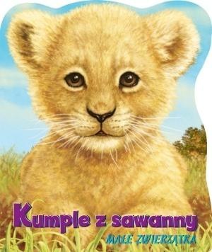 Kumple z sawanny