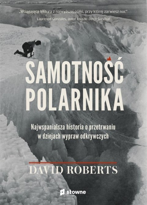 Samotność polarnika