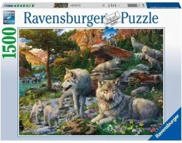 Puzzle 1500 Wiosenne wilki