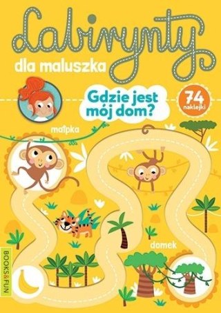 Labirynty dla maluszka. Gdzie jest mój dom?