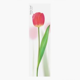 Kartki samoprzylepne - tulipan róż