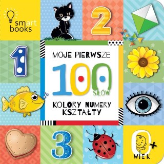 Moje pierwsze 100 słów Kolory, numery, kształty 0+