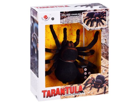 Zdalnie sterowany PAJĄK tarantula pilot RC0251