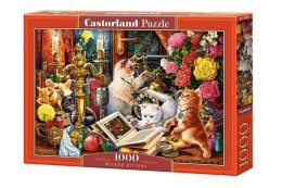 Puzzle 1000 Wizard Kittens CASTOR