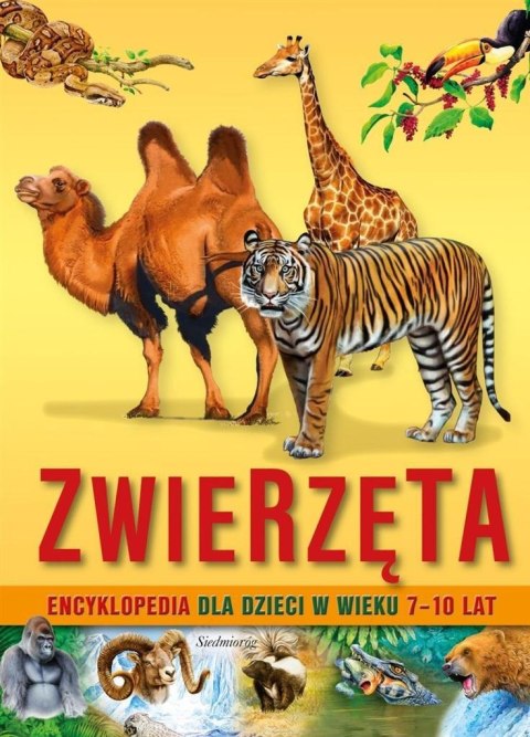 Encyklopedia dla dzieci Zwierzęta