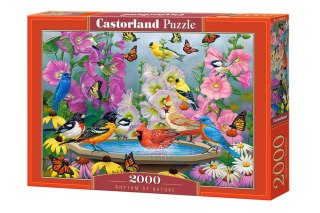 Puzzle 2000 el. Rhythm of Nature