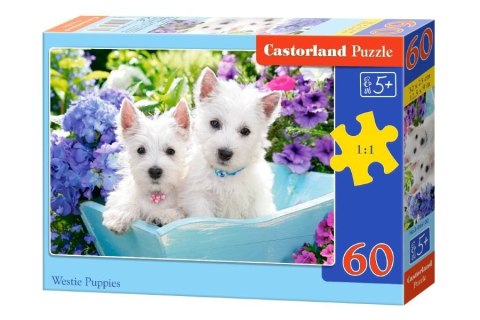 Puzzle 60 el. Westie Puppies