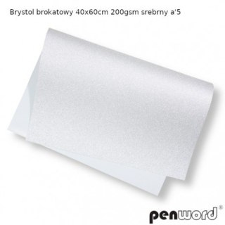 BRYSTOL BROKAT 40x60cm 200gsm SREBRNY a5