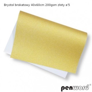 BRYSTOL BROKAT 40x60cm 200gsm ZŁOTY a5